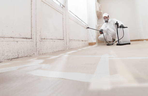 24/7 Emergency Black Mold Removal experts in Rocky Ridge, MD