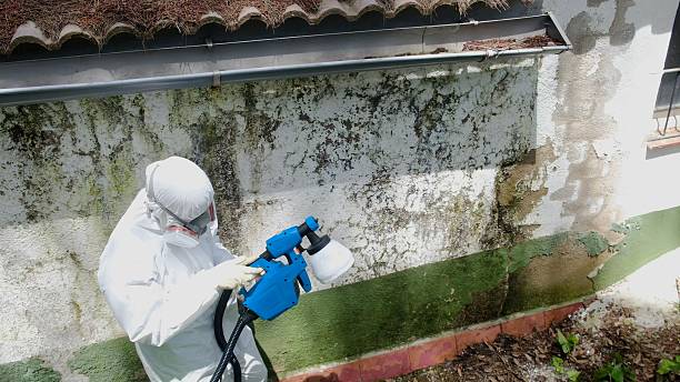Trusted Crawl Space Mold Removal service in Rocky Ridge, MD - Cheap Mold Removal